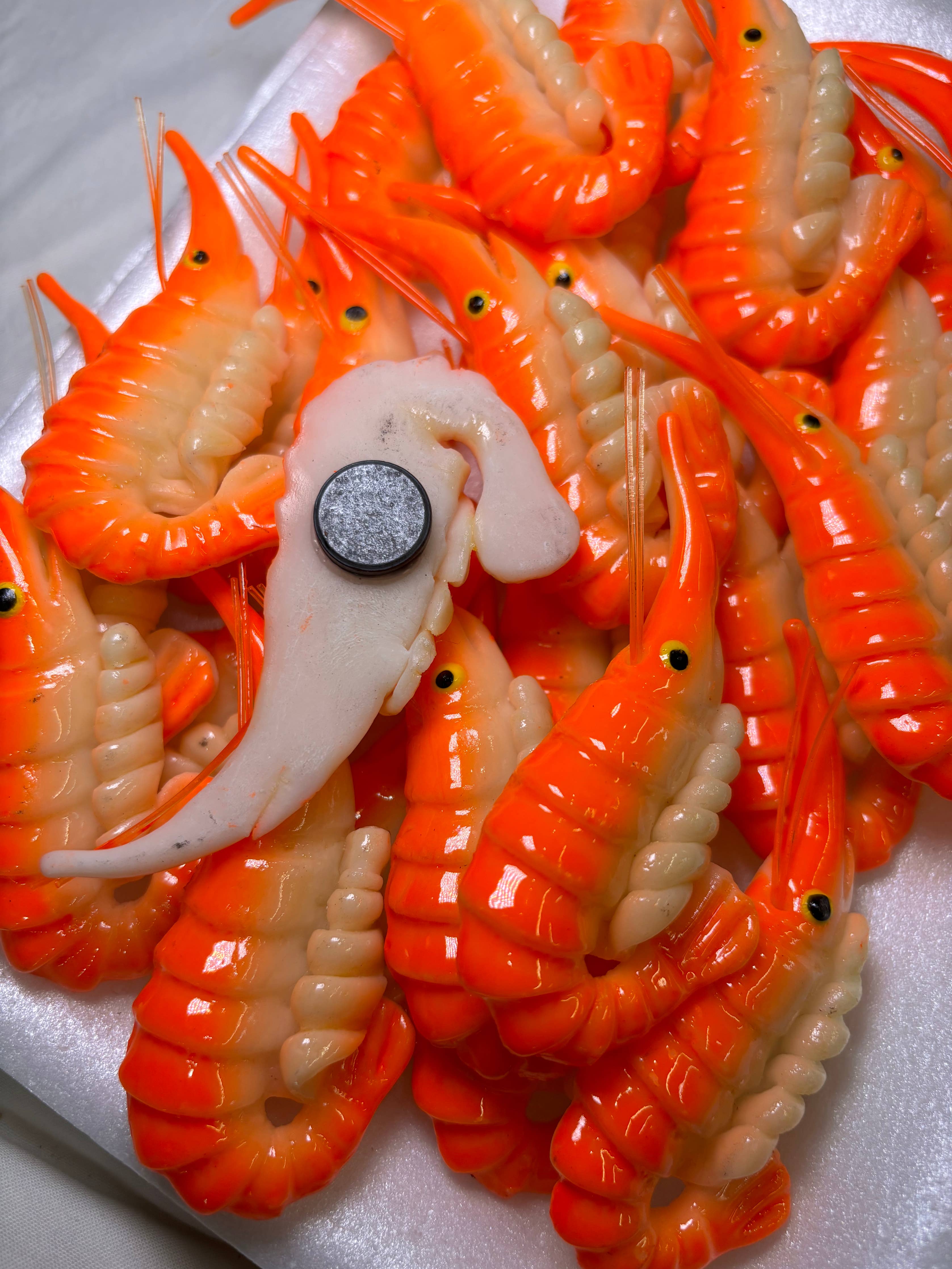 Shrimp Kitchen Magnet