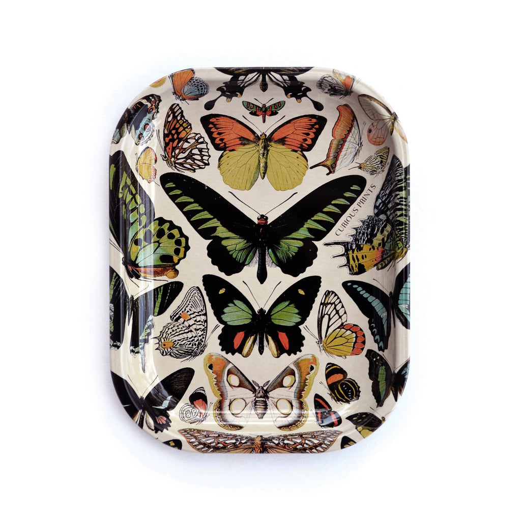 Small Metal Butterfly 1 Tray / Vintage Butterflies Dish